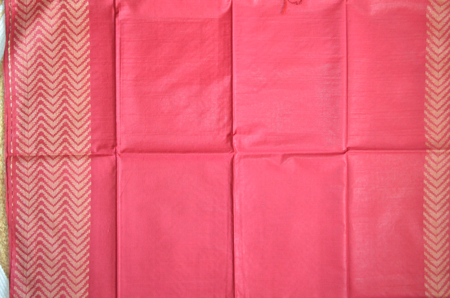 Rouge Contemporary Thread Work Vegan Silk Handloom Saree