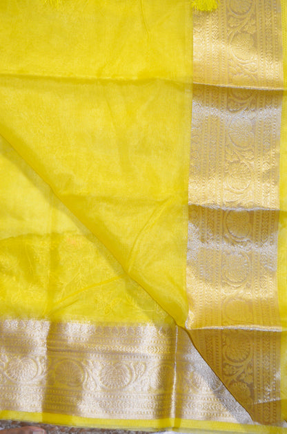 Yellow Embriodered Chikankari Saree
