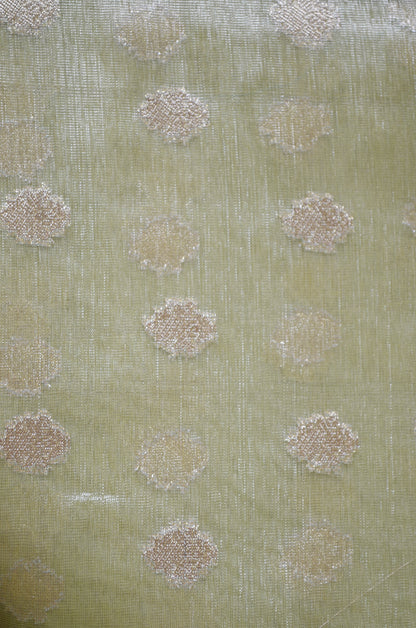 Pistacchio Banarasi Zari Tissue Silk Saree