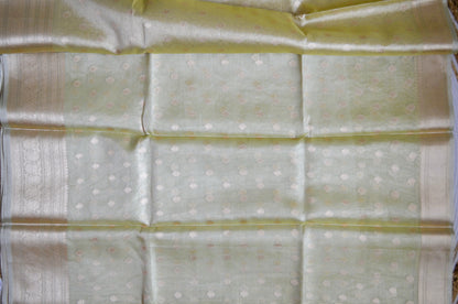 Pistacchio Banarasi Zari Tissue Silk Saree