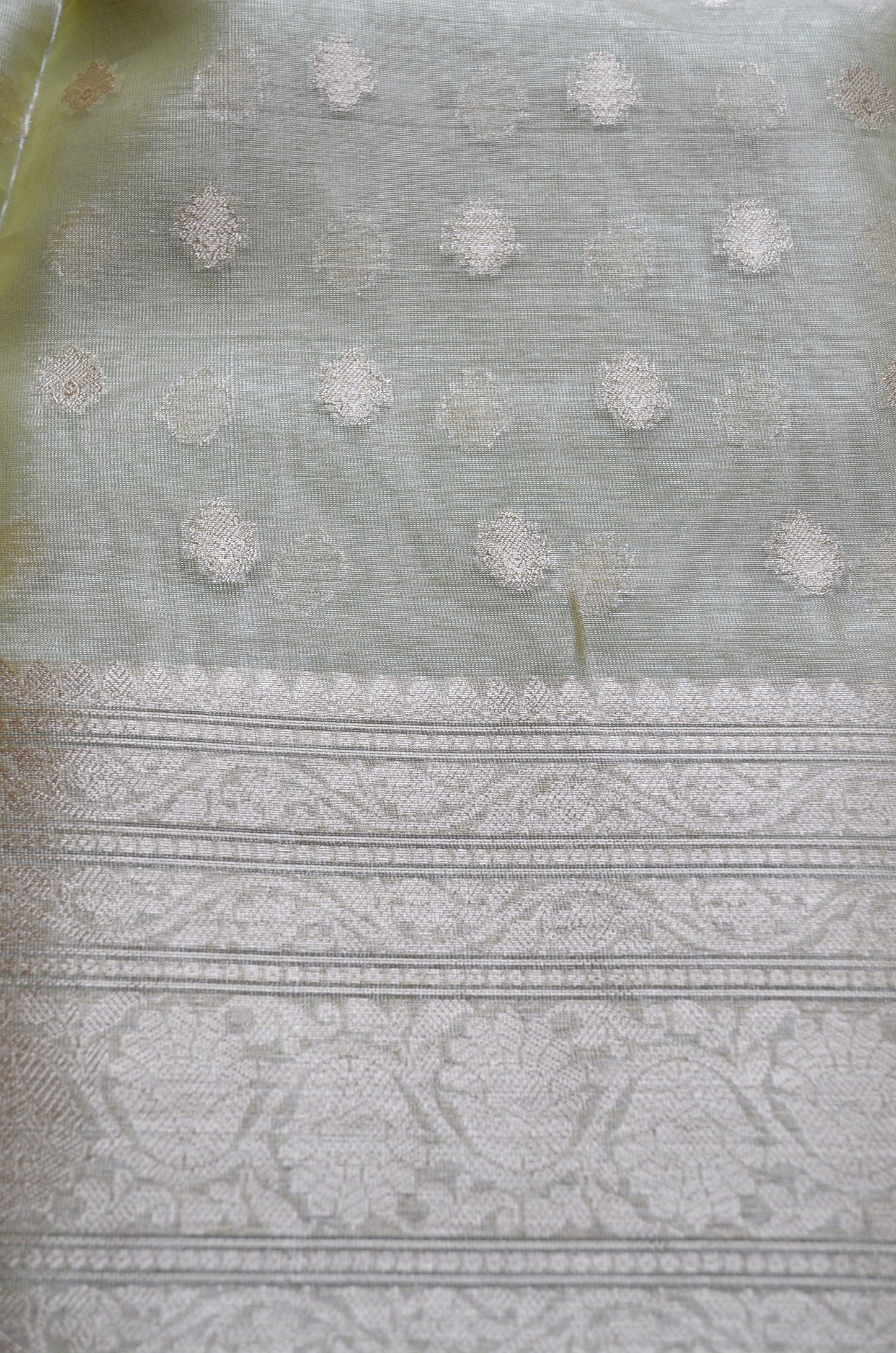 Pistacchio Banarasi Zari Tissue Silk Saree