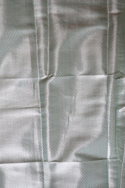 Sea Green Woven Banarasi Zari Tissue Silk Saree