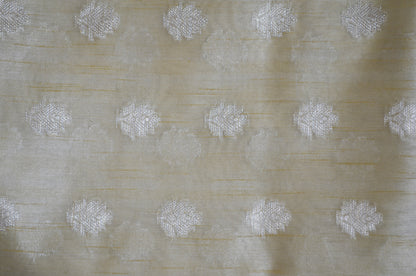 Beige Woven Banarasi Zari Tissue Silk Saree