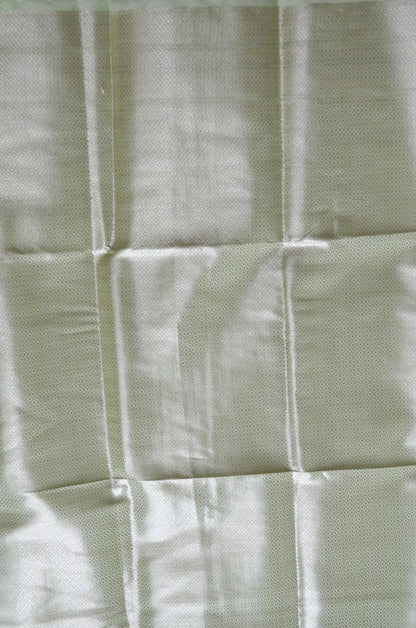 Pistacchio Woven Banarasi Zari Tissue Silk Saree