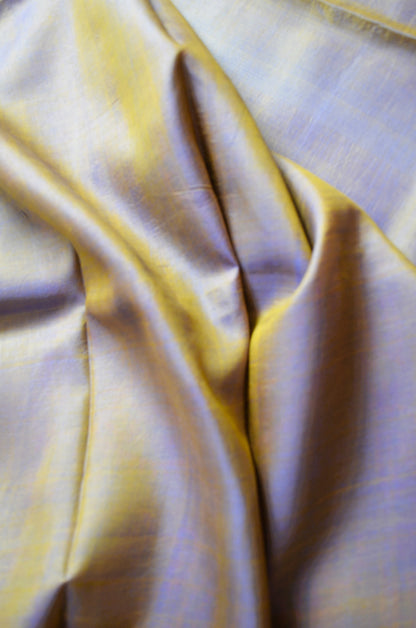Indigo Gold Dual Tone Pure Silk Sonamukhi Handloom Saree